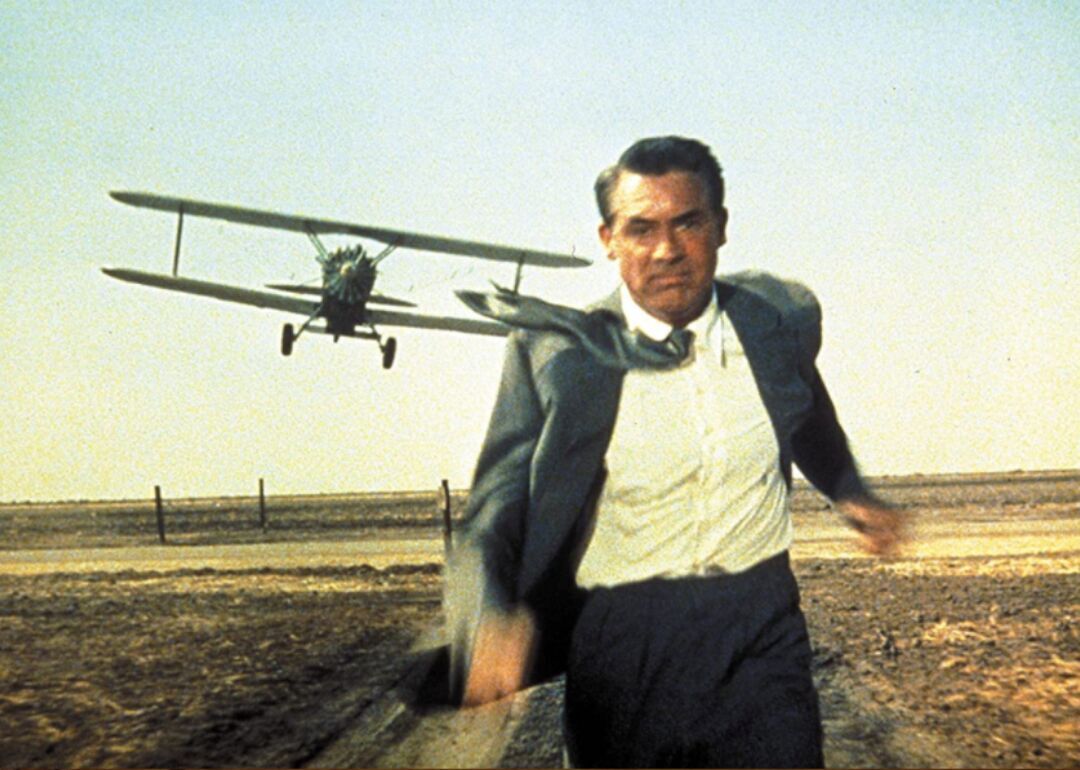 #13. North by Northwest (1959)